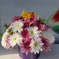 باکس گل سپیدنود