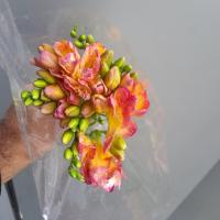 دسته گل فرزیا صورتی 1 دسته 10 شاخه