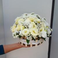 سبد گل سبزه