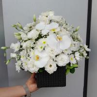 باکس گل ارکیده ماهورا