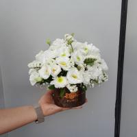 باکس شماره 4 