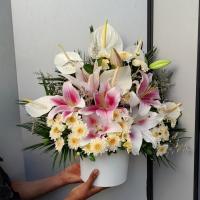 باکس گل مهوا