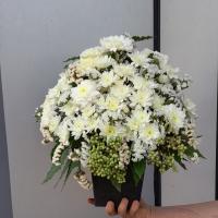 باکس سفید پارمین