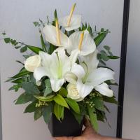 باکس انتریوم سفید