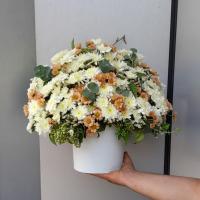 باکس گل ناریکا