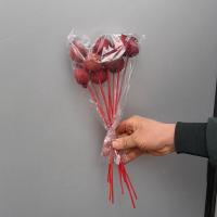 انار تزیینی 10 عدد