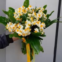دسته گل نرگس 50 شاخه برگ آرایی