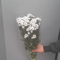 دسته گل بابونه سفید 5 شاخه