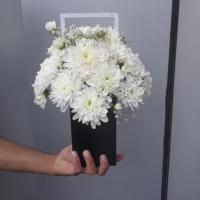 باکس مرولین ارتفاع۳۵*۱۵ سانتی متری