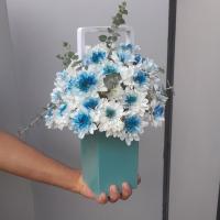 باکس مرولین ۲