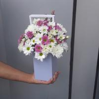 باکس مرولین 3