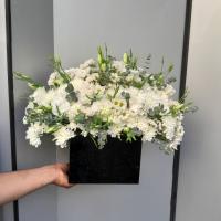 باکس هامون ابعاد ۳۵*۲۵ سانتی متری