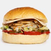 رویال برگر بریونی