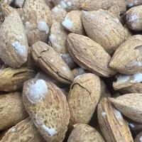 بادام پوست کاغذی شور 