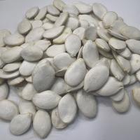 تخمه کدو مرمری خام