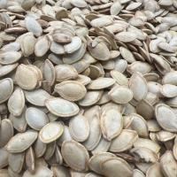 تخمه کدو خام