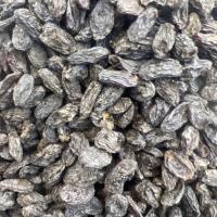 مویز شاهانی بدون هسته