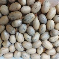 گردو پکان با پوست