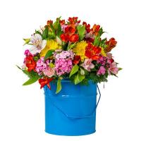 باکس بهاری 3