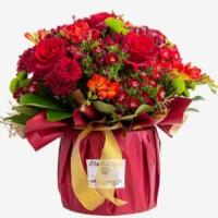 تنگ بهاری قرمز