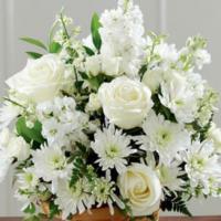  سبد سفید تسلیت