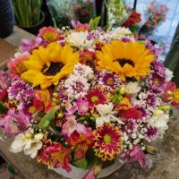 باکس بهاری 1