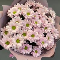  دسته گل داوودی صورتی 