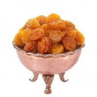 گوجه برقان طلایی