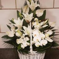 سبد گل ترحیم کد 145