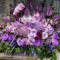 باکس مخملی مدل یک طرفه کد 127