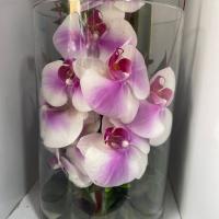 استوانه شیشه ای با گل ارکیده سفید کد 131
