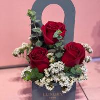 باکس رز مدل اقتصادی