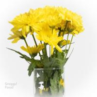 دسته گل داوودی زرد