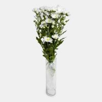 دسته گل داوودی سفید	