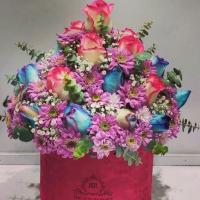 باکس رز داوودی