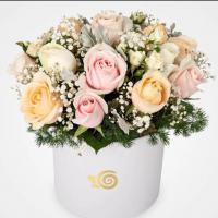 باکس گل رز مدل هستی