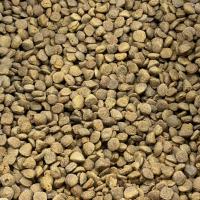 غذای مخصوص سگ بالغ فله 1 کیلوگرم - پت شاپ مرغ سحر