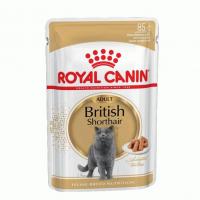 پوچ گربه رویال کنین مدل بریتیش British shorthair