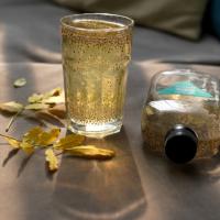 شربت چیا با سکنجبین