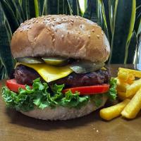 فرش کلاسیک برگر