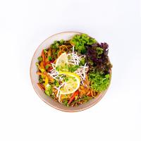 چیکن نودل اویستر