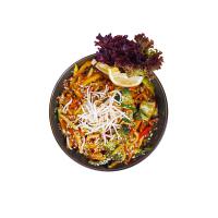 دایت وجتبل پلیت