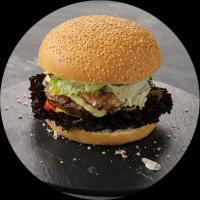 برگر میکس مستر 