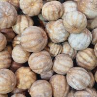 لیمو عمانی درشت اعلا