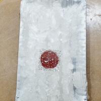 نبات سفید شاخه ای