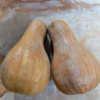 کدو حلوایی بروجرد