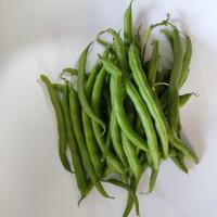 لوبیا سبز