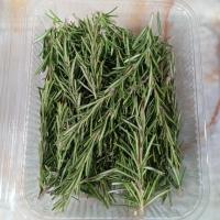 سبزی رزماری 