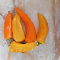 فلفل کاپی رنگی درجه ۲ 