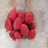 توت فرنگی بهنمیر